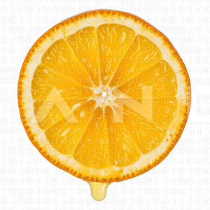 Orange Fruit - 000035