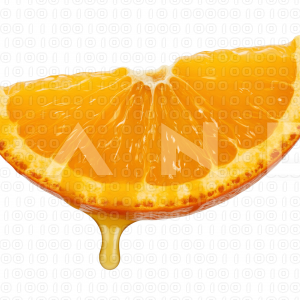 Orange Fruit - 000004