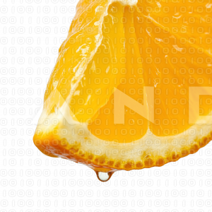 Orange Fruit - 000041