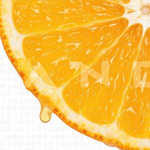 Orange Fruit - 000044