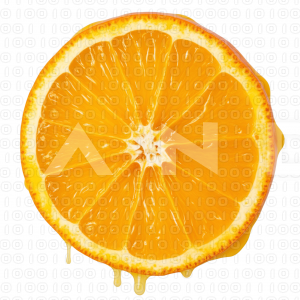 Orange Fruit - 000059