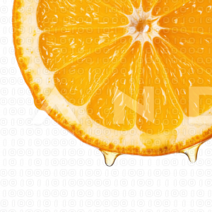 Orange Fruit - 000062