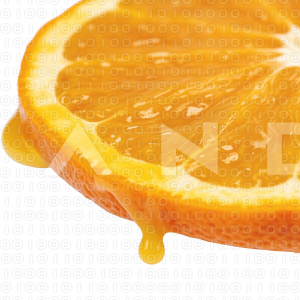 Orange Fruit - 000064