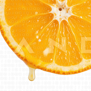 Orange Fruit - 000069