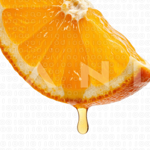 Orange Fruit - 000007
