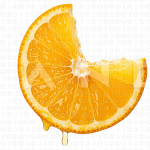 Orange Fruit - 000076